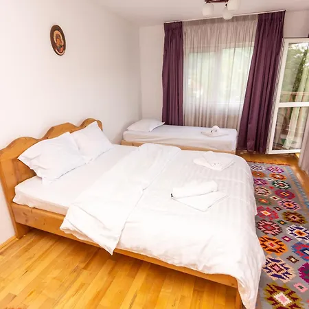 Casa Rumelia Villa Paltineni