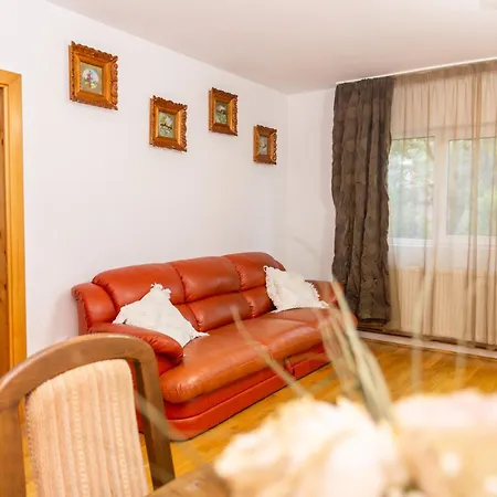 Casa Rumelia Villa Paltineni