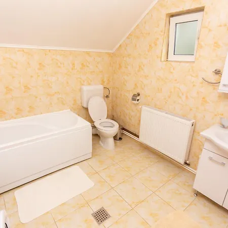 Casa Rumelia * Paltineni