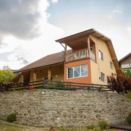 Casa Rumelia Paltineni