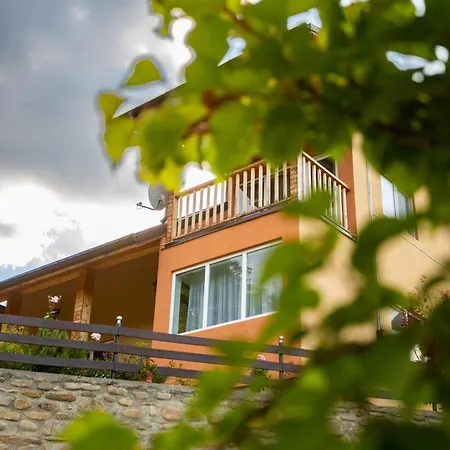 Casa Rumelia * Paltineni