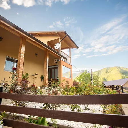 Casa Rumelia Paltineni