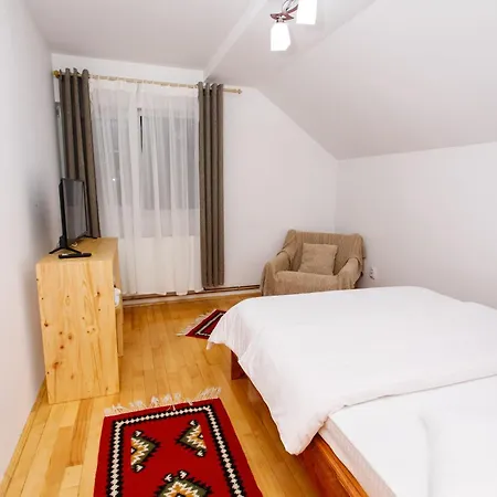 Casa Rumelia Villa Paltineni
