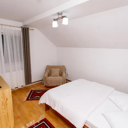 Casa Rumelia Villa Paltineni